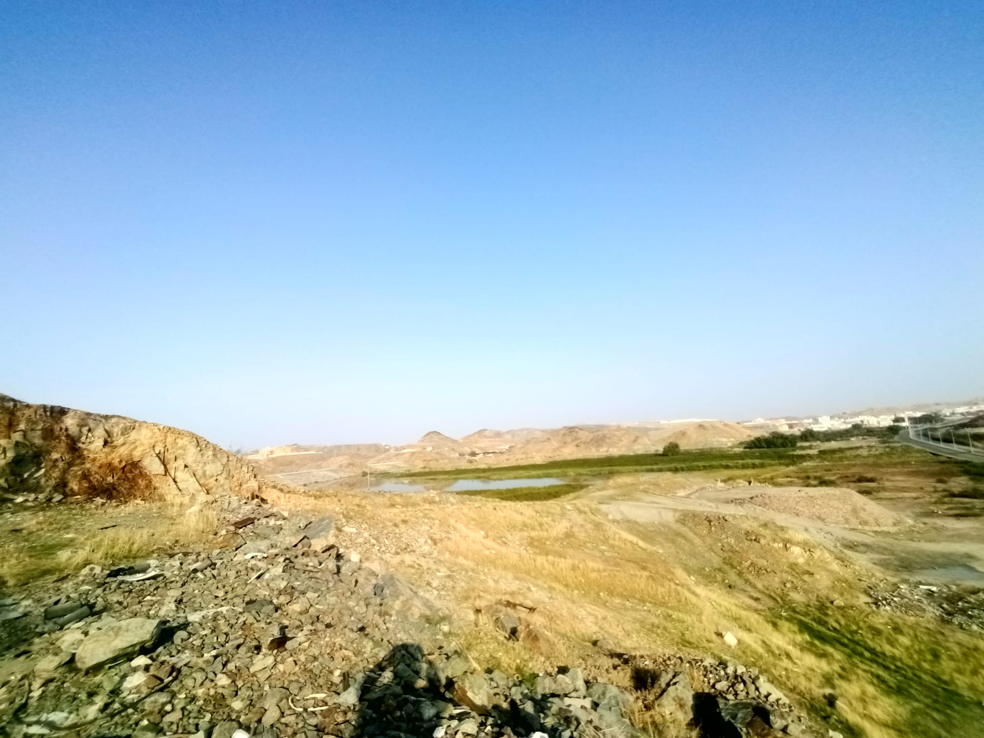 يوم الأربعاء 15 نوفمبر سنة2023
