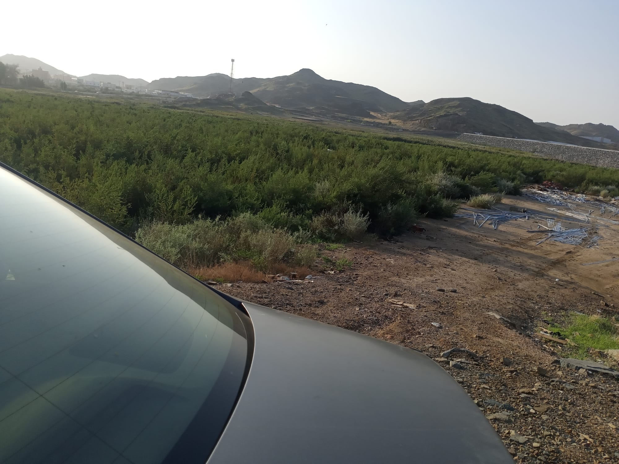 يوم الأربعاء 15 نوفمبر سنة2023 