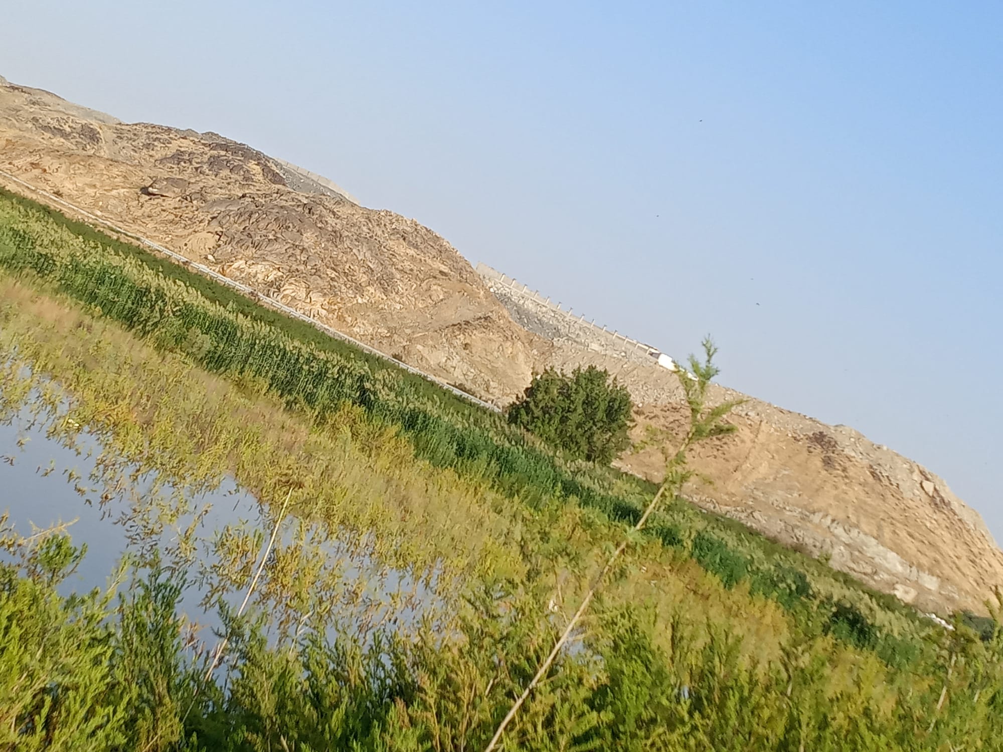 يوم الأربعاء 15 نوفمبر سنة2023 