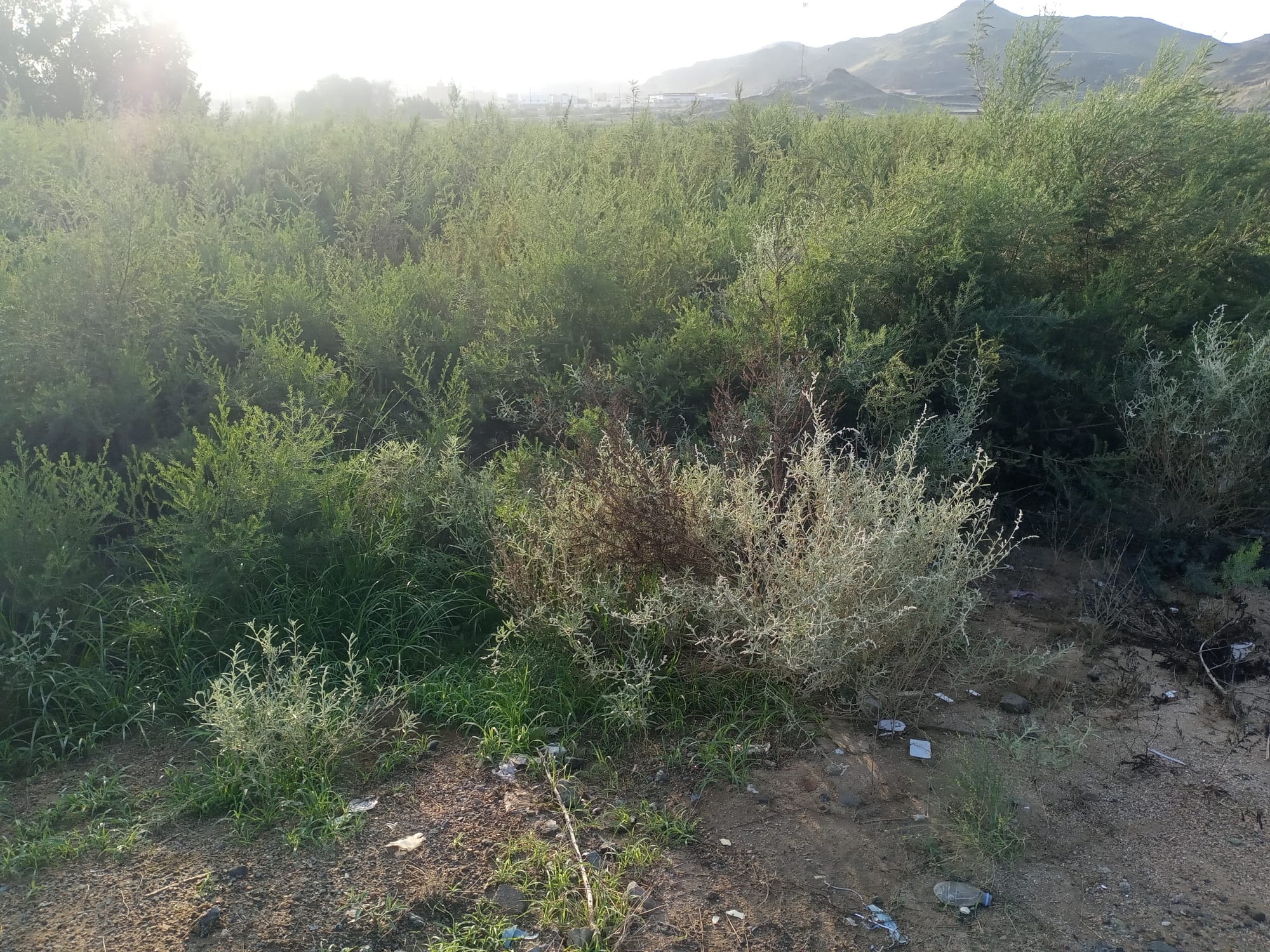 يوم الأربعاء 15 نوفمبر سنة2023 