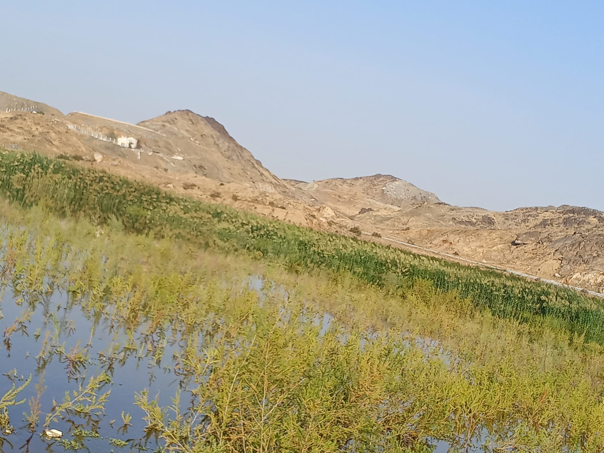 يوم الأربعاء 15 نوفمبر سنة2023 