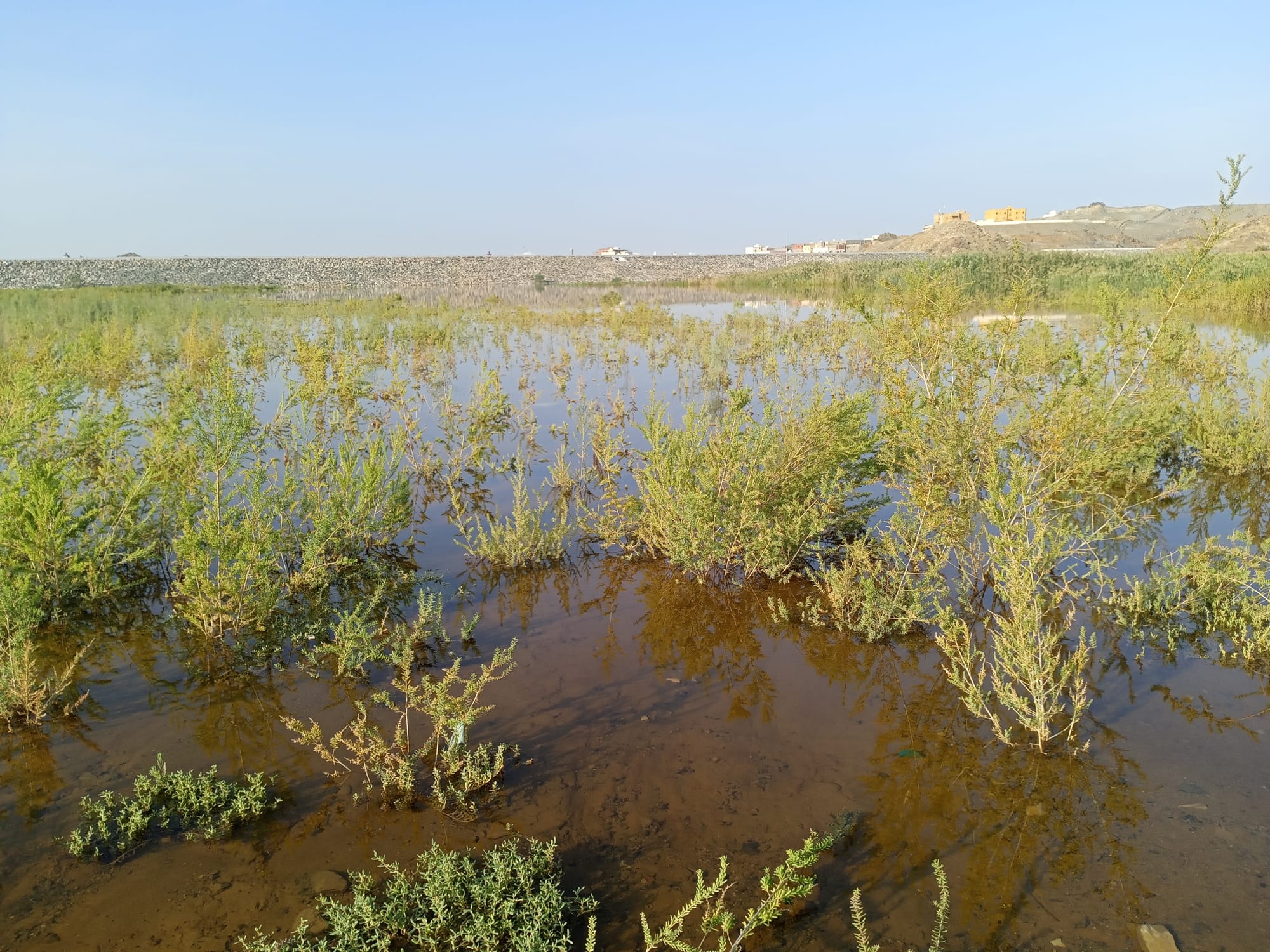 يوم الأربعاء 15 نوفمبر سنة2023 