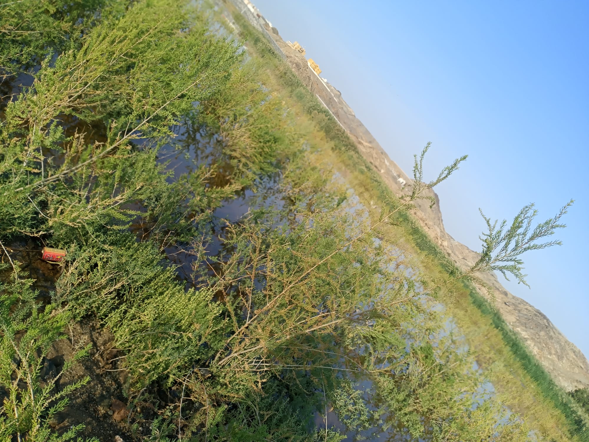 يوم الأربعاء 15 نوفمبر سنة2023 
