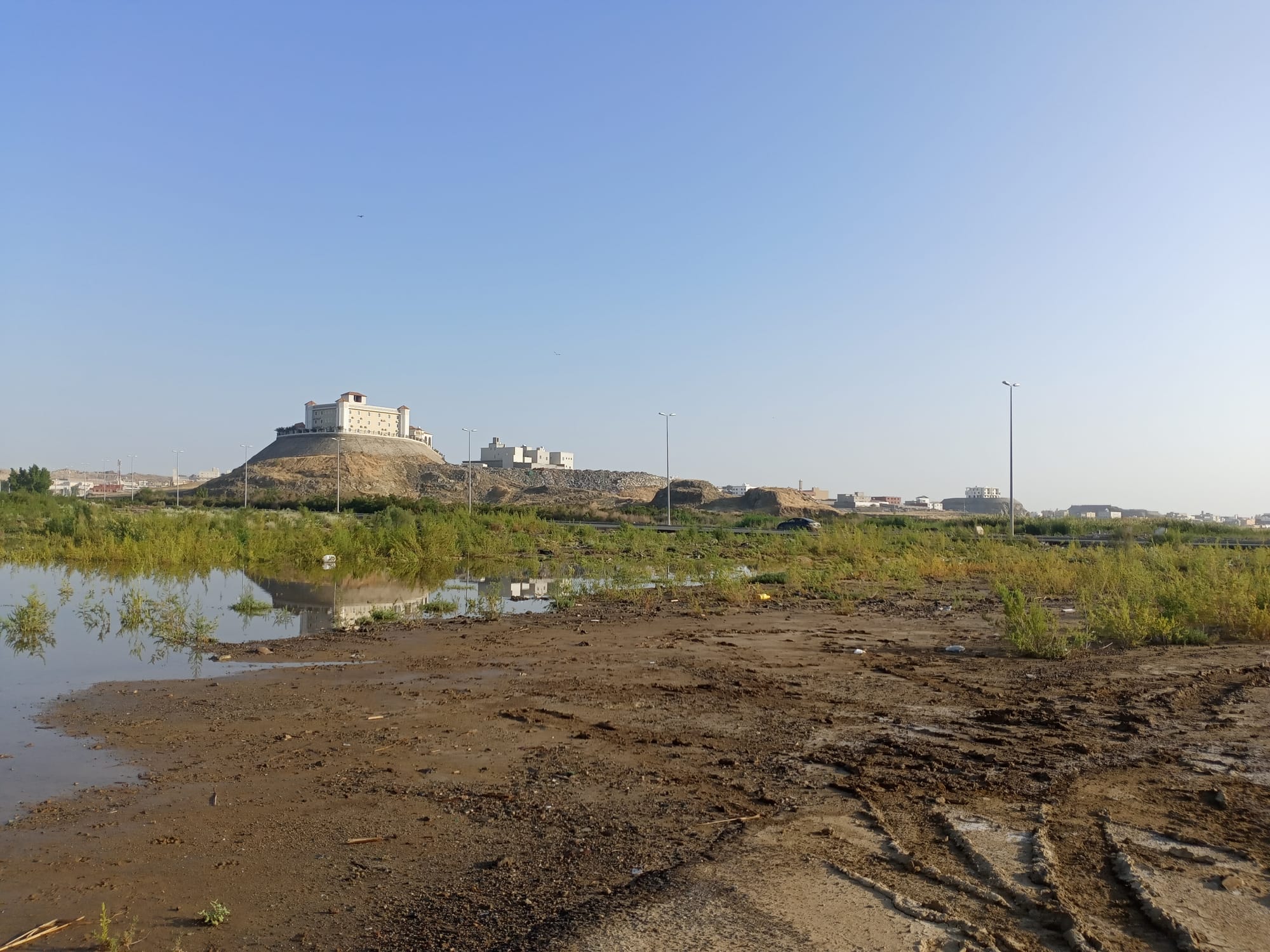 يوم الأربعاء 15 نوفمبر سنة2023 