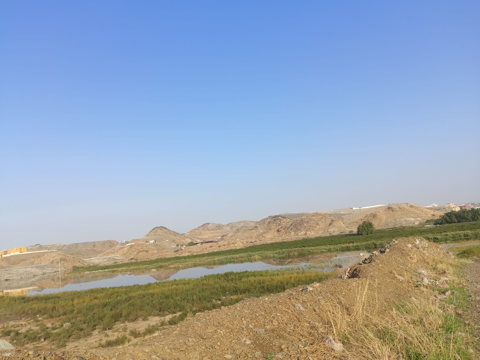 يوم الأربعاء 15 نوفمبر سنة2023 