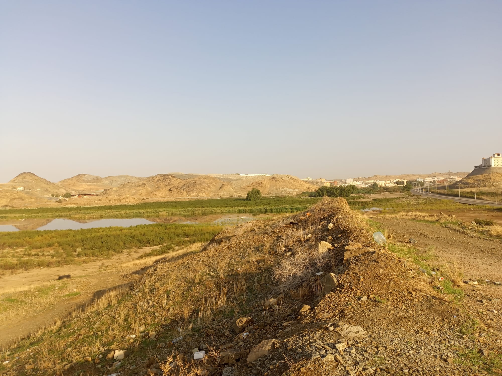 يوم الأربعاء 15 نوفمبر سنة2023 