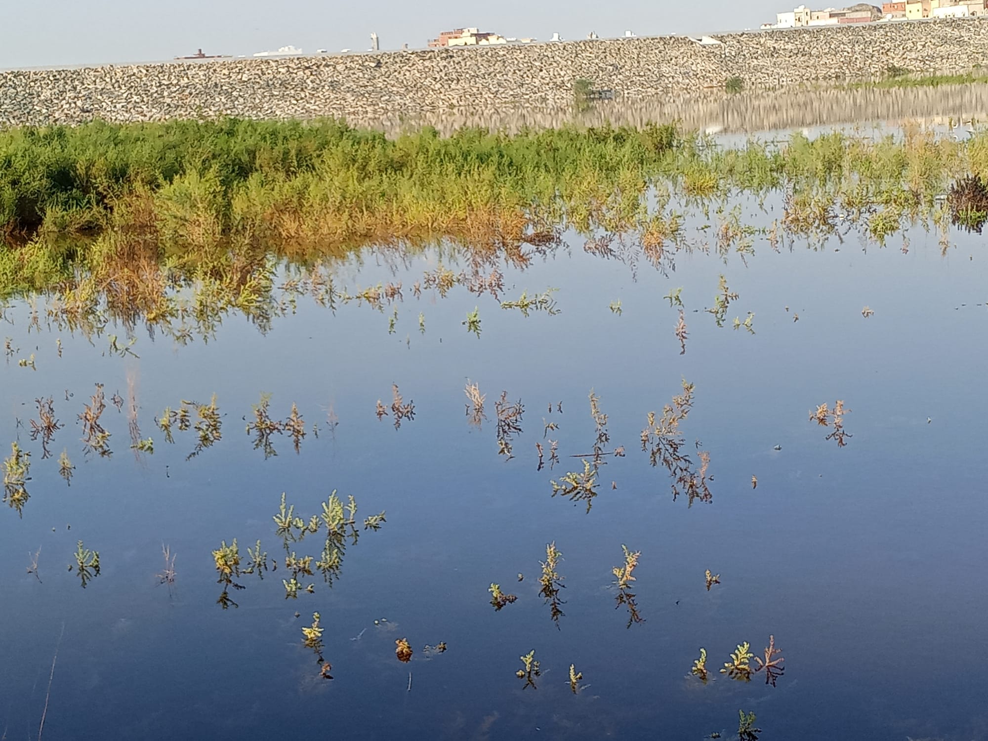يوم الأربعاء 15 نوفمبر سنة2023 