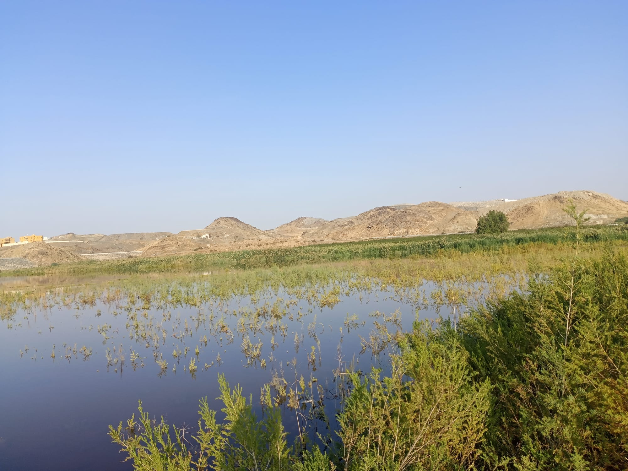 يوم الأربعاء 15 نوفمبر سنة2023 