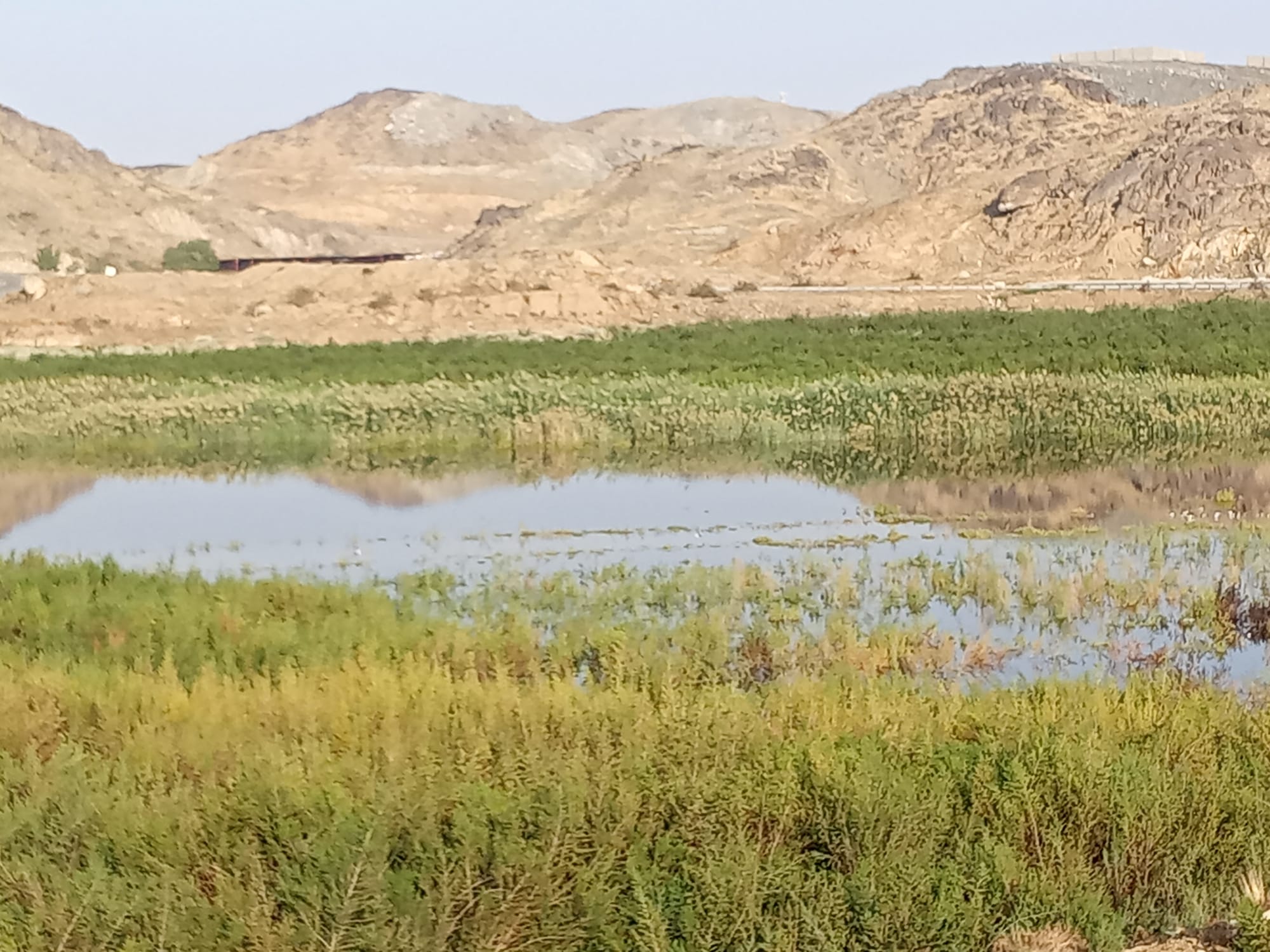 يوم الأربعاء 15 نوفمبر سنة2023 