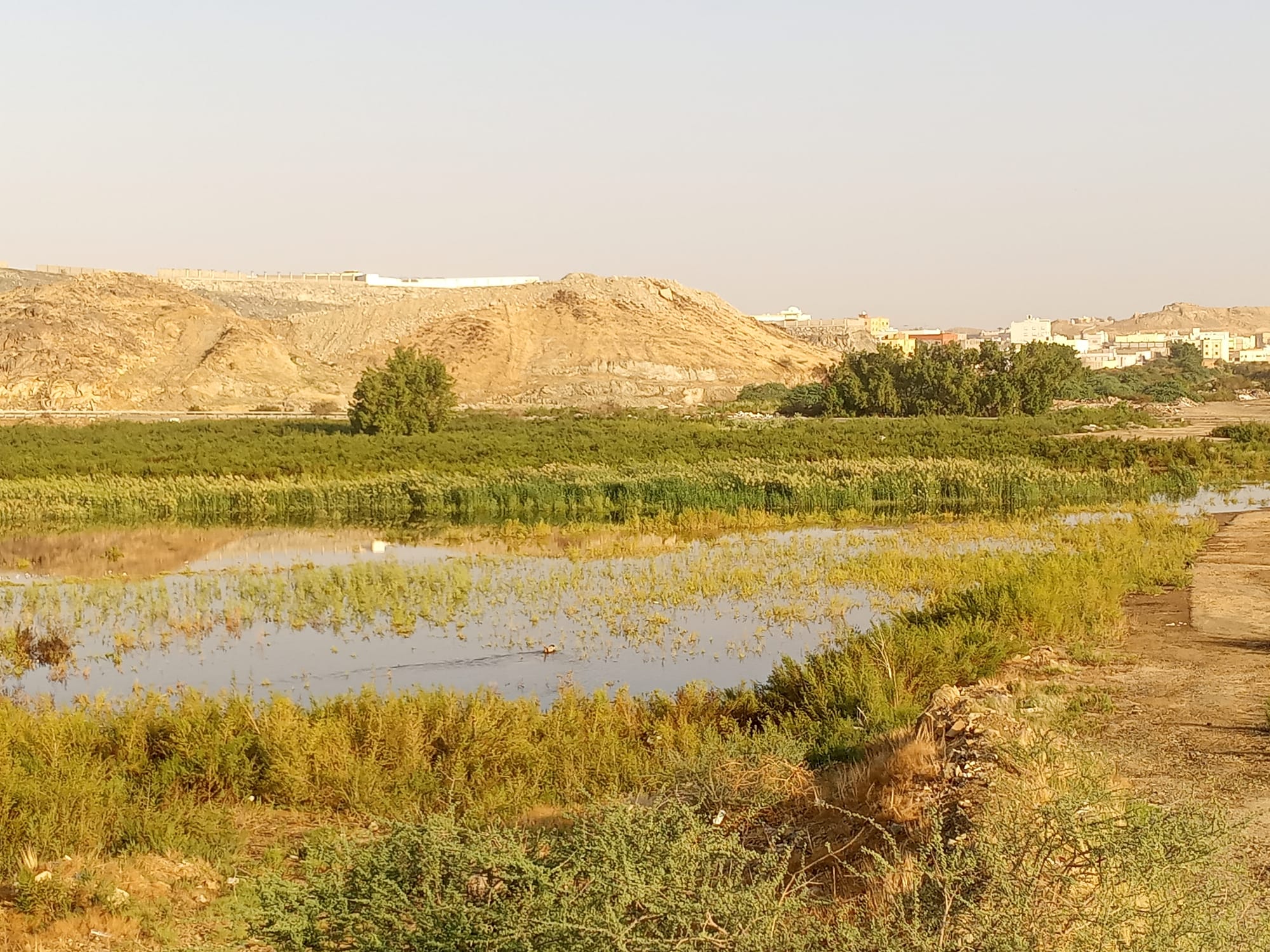 يوم الأربعاء 15 نوفمبر سنة2023 
