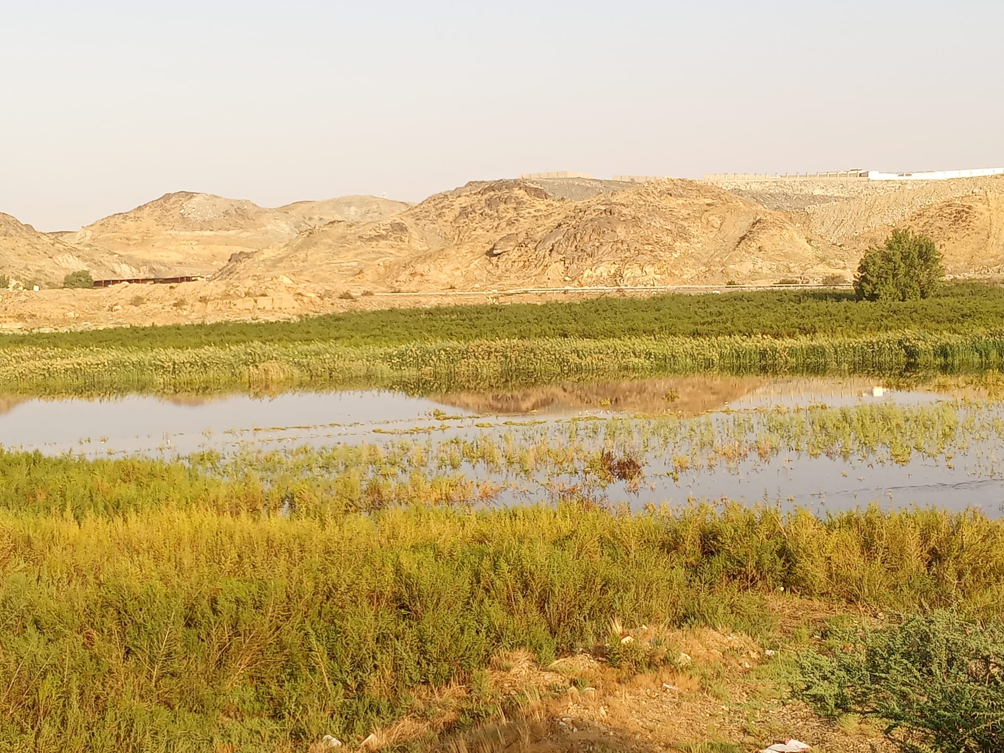 يوم الأربعاء 15 نوفمبر سنة2023 