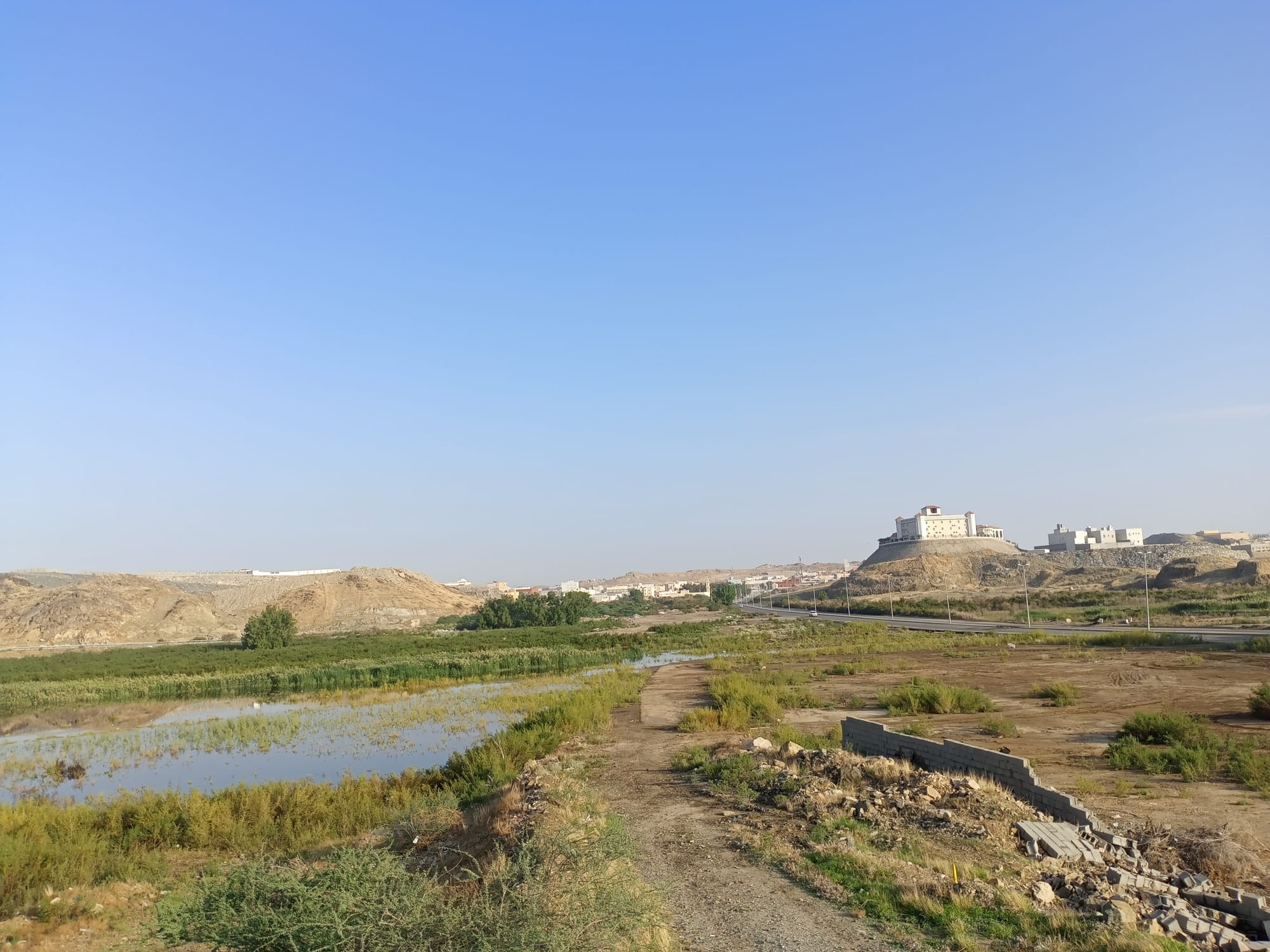 يوم الأربعاء 15 نوفمبر سنة2023 