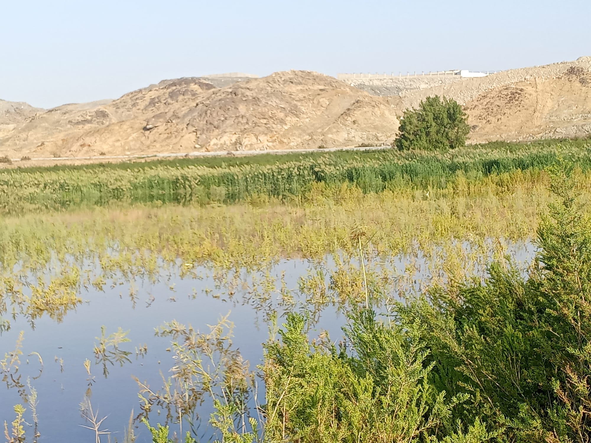 يوم الأربعاء 15 نوفمبر سنة2023 