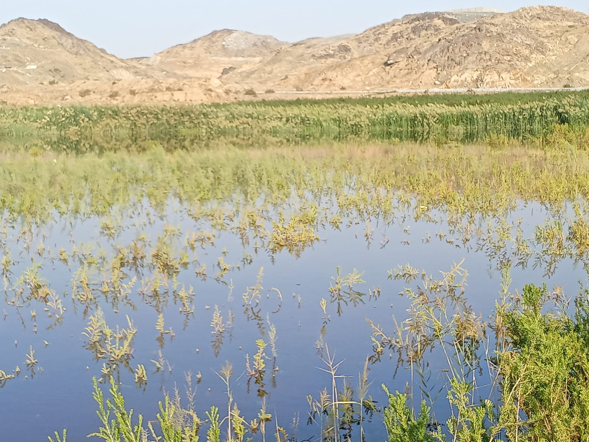 يوم الأربعاء 15 نوفمبر سنة2023 