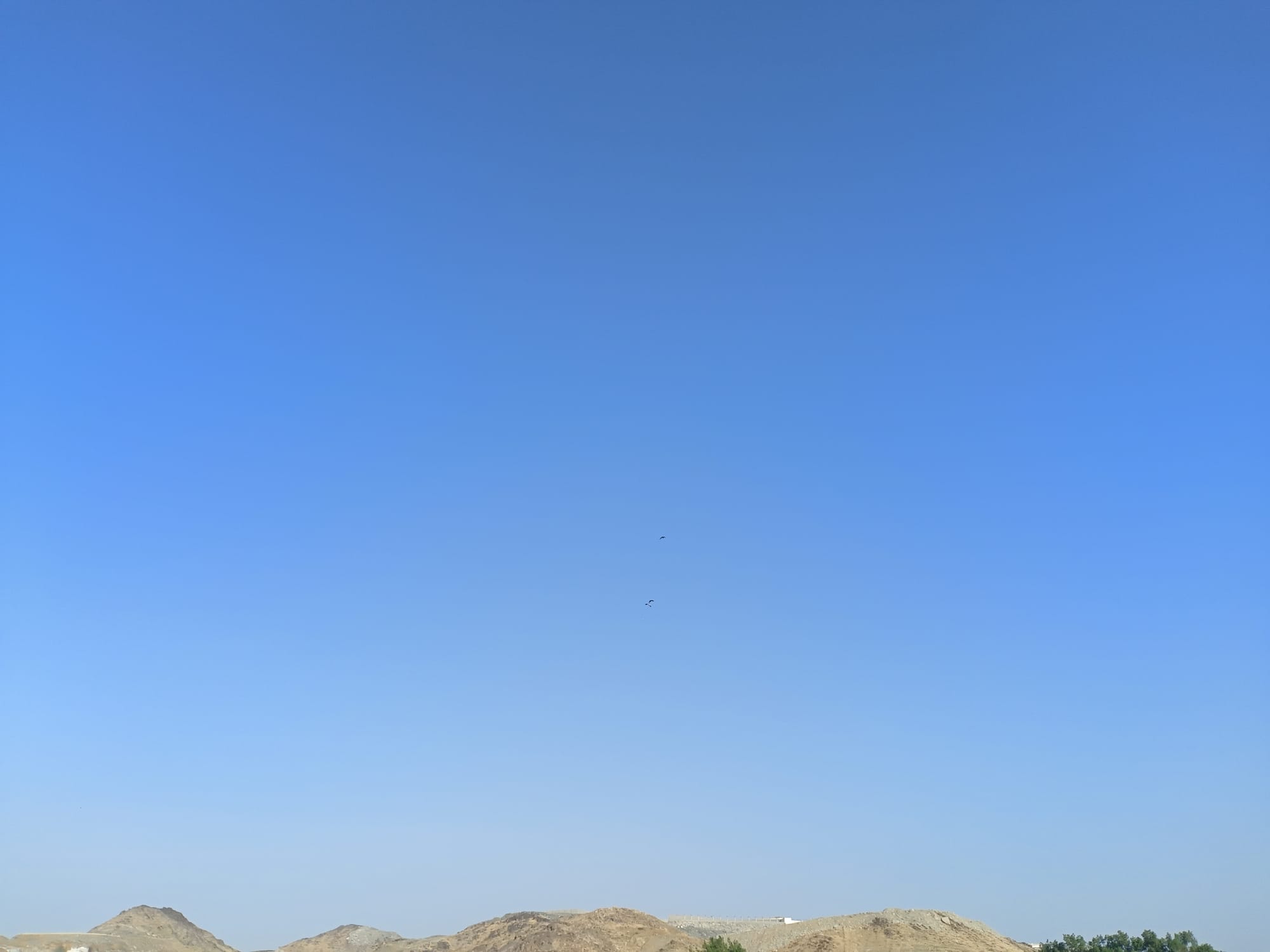 يوم الأربعاء 15 نوفمبر سنة2023 