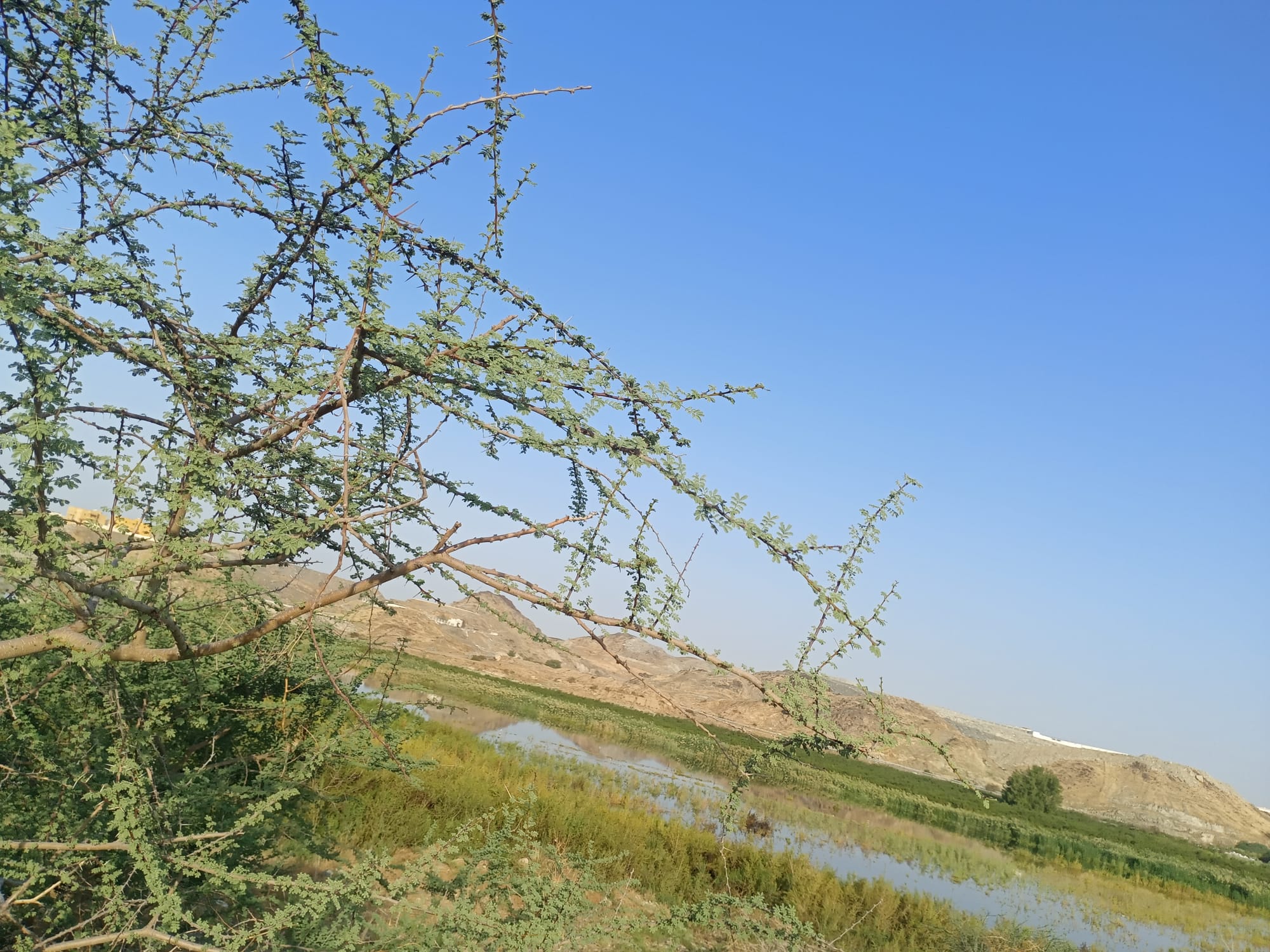 يوم الأربعاء 15 نوفمبر سنة2023 