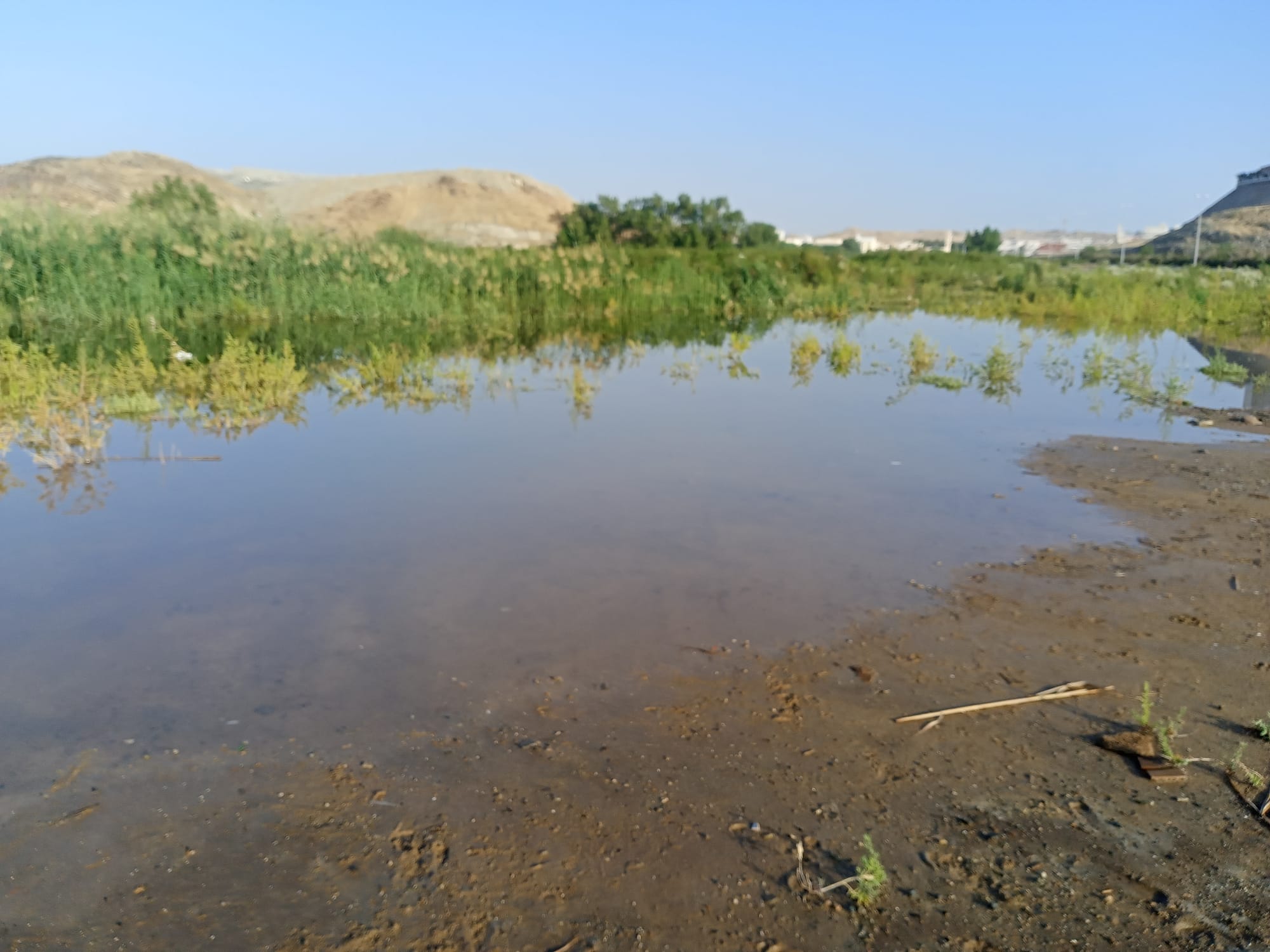 يوم الأربعاء 15 نوفمبر سنة2023 