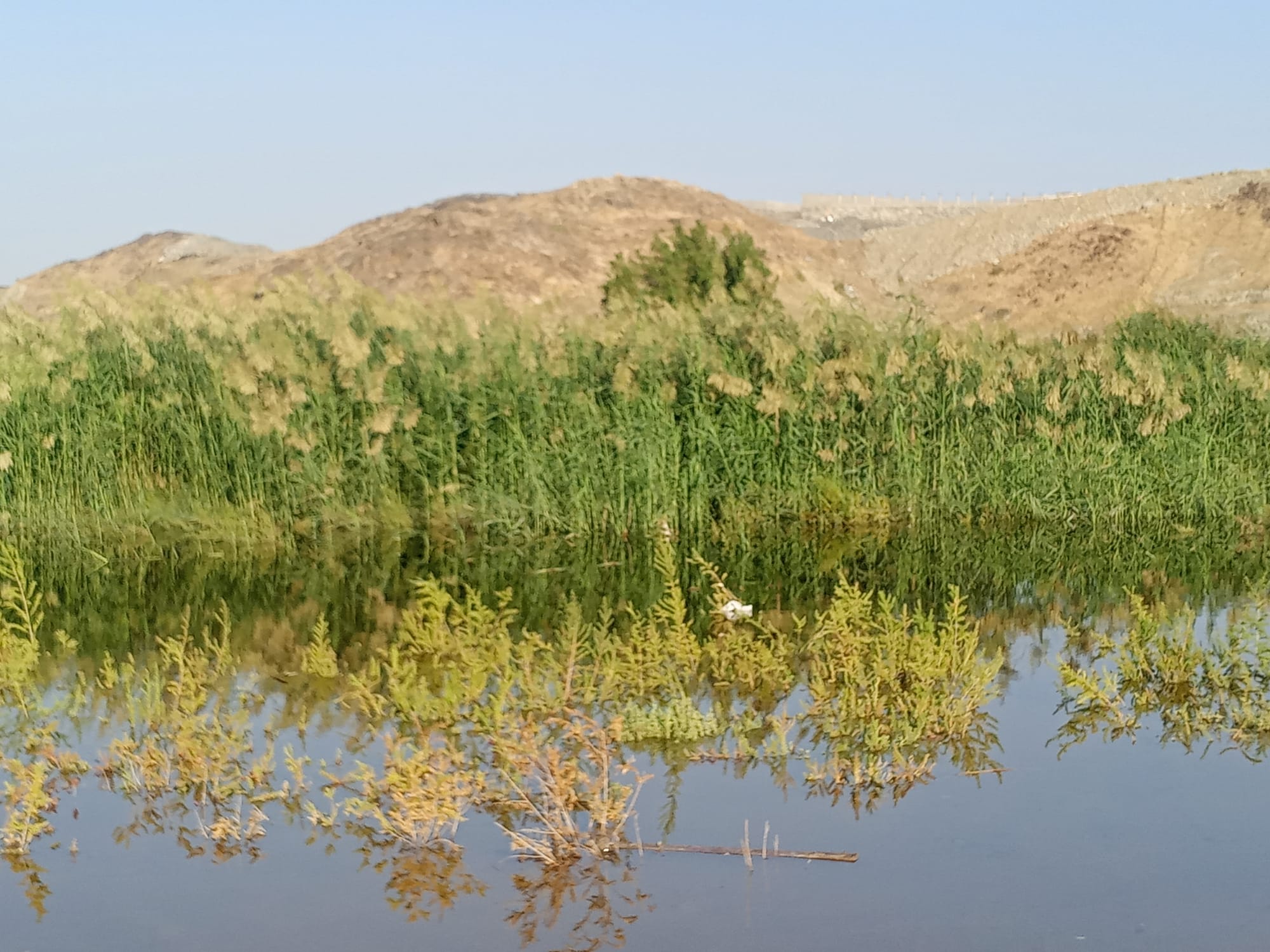 يوم الأربعاء 15 نوفمبر سنة2023 