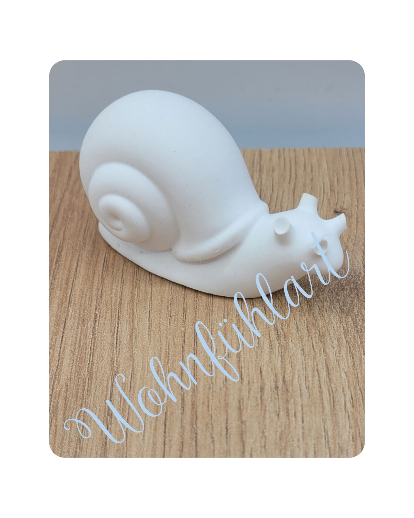 Schnecke