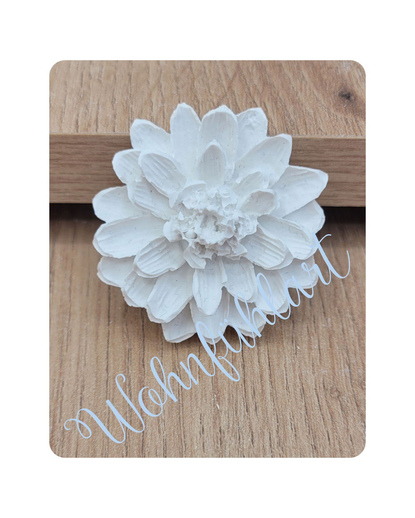 Blume