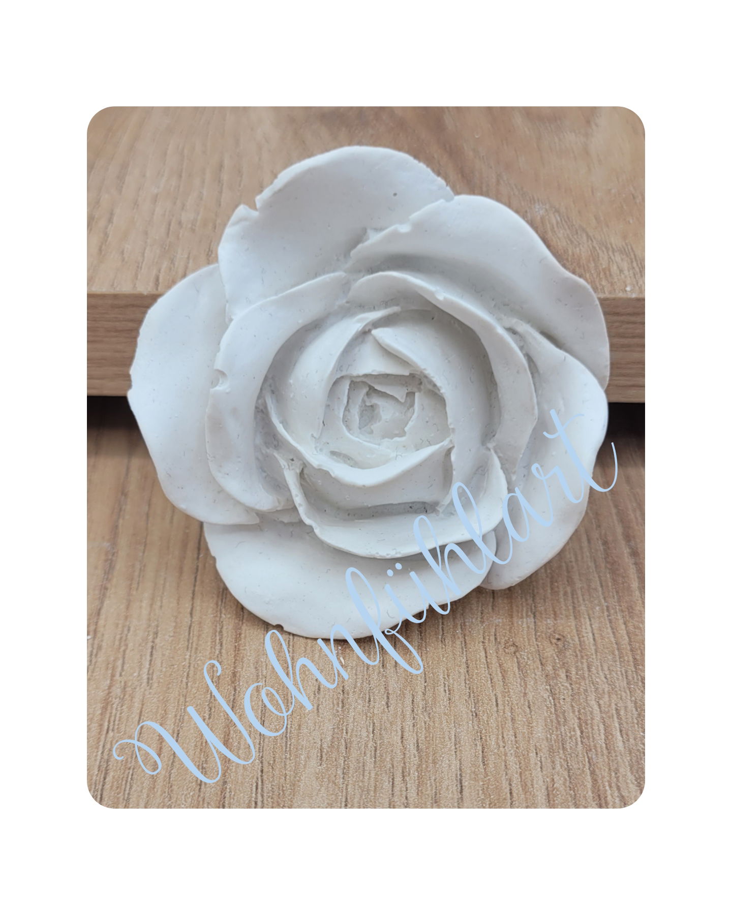 Rose klein flach