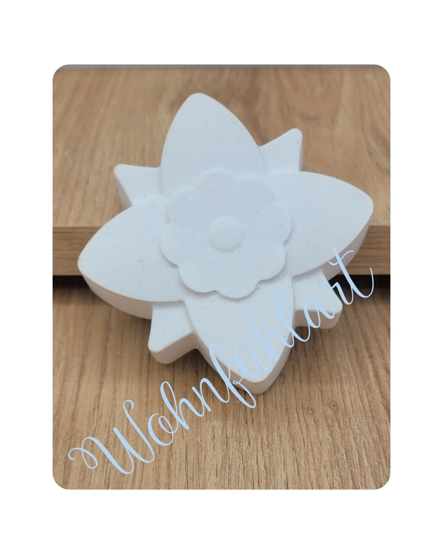 Blume 5