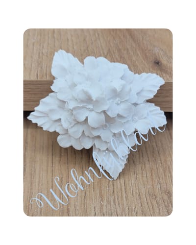 Blume mit kleinen Blüten