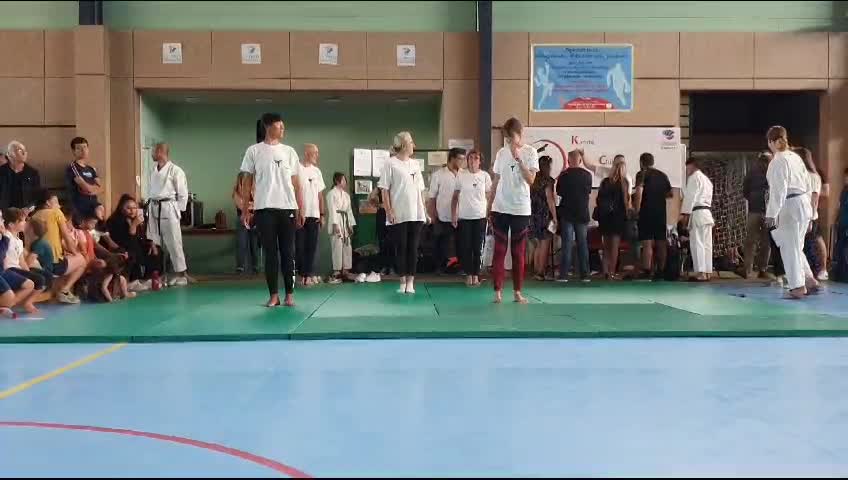 Démonstrations du Festiv'Assos