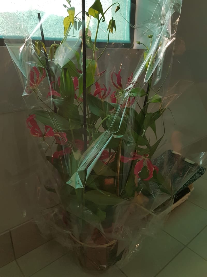 Assemblée générale 2023