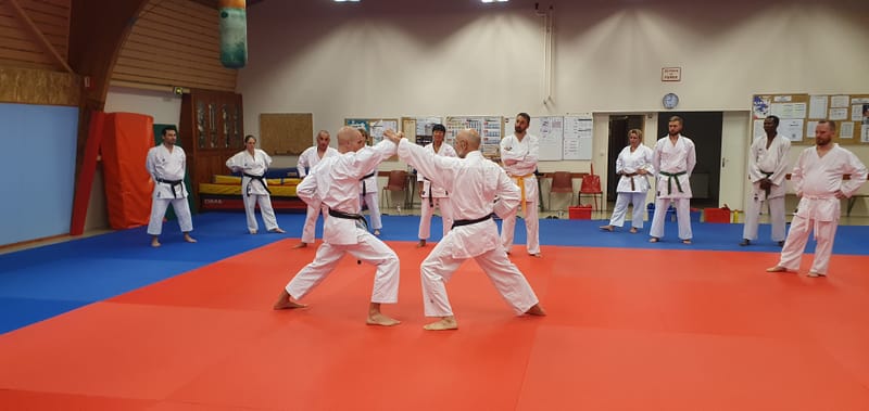 reprise des cours adultes