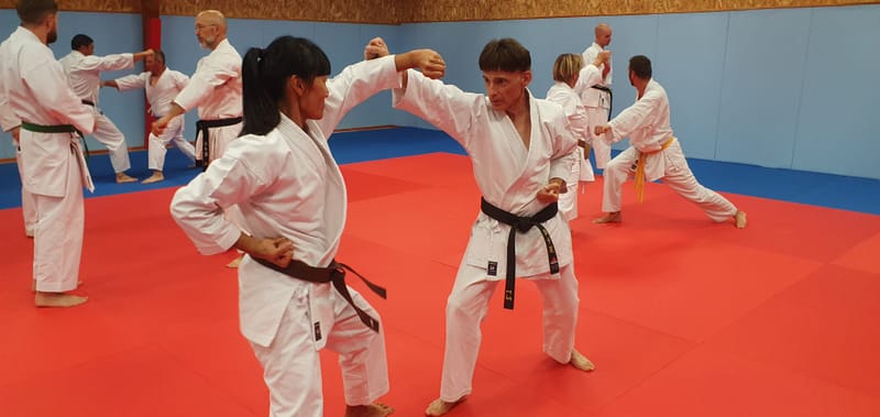 reprise des cours adultes