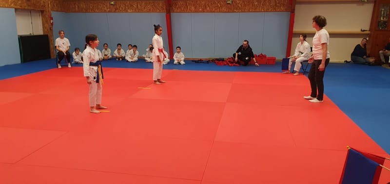 2024-02-17 Coupe Samouraï