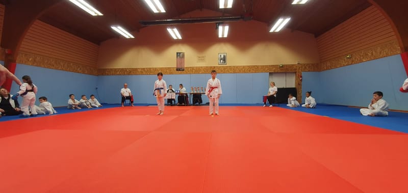 2024-02-17 Coupe Samouraï