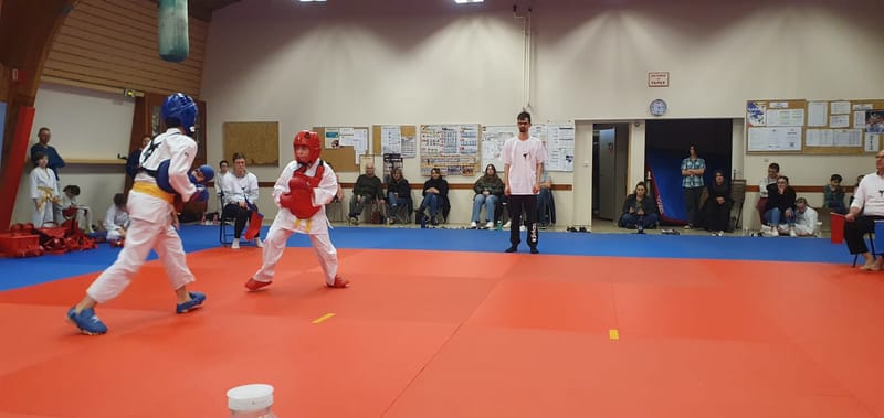 2024-02-17 Coupe Samouraï