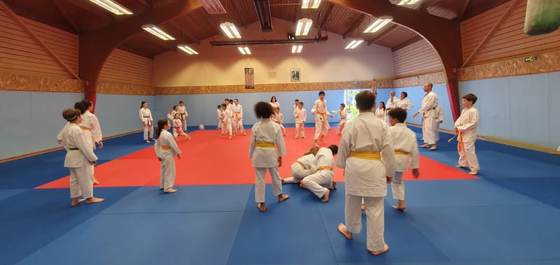 STAGE DE FIN D'ANNÉE ENFANTADOS - LUNDI 24/06/2024