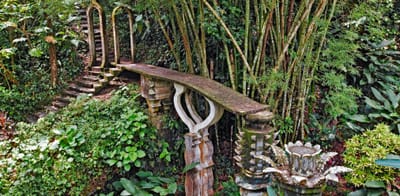 Xilitla, el tesoro de San Luis Potosí