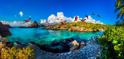 Los Parques Ecológicos Más Bonitos de la Riviera Maya