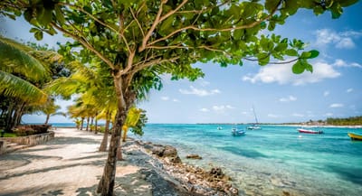 Akumal, la joya escondida de la Riviera Maya.