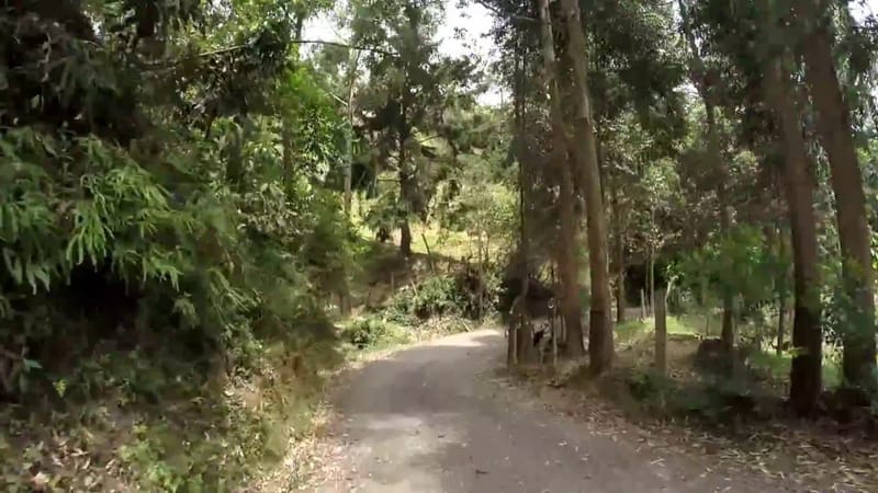 Primera Rodada Oficial del Año Bikers & Friends