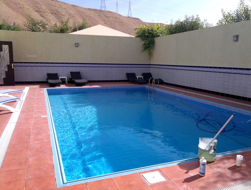 pool maintenance &amp; cleaning