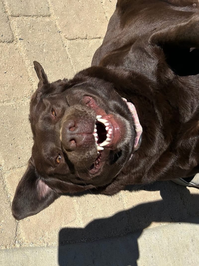 OVERNIGHT STAY AT YOUR HOUSE