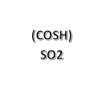 Construction Occupational Safety and Health Training (COSH SO2)