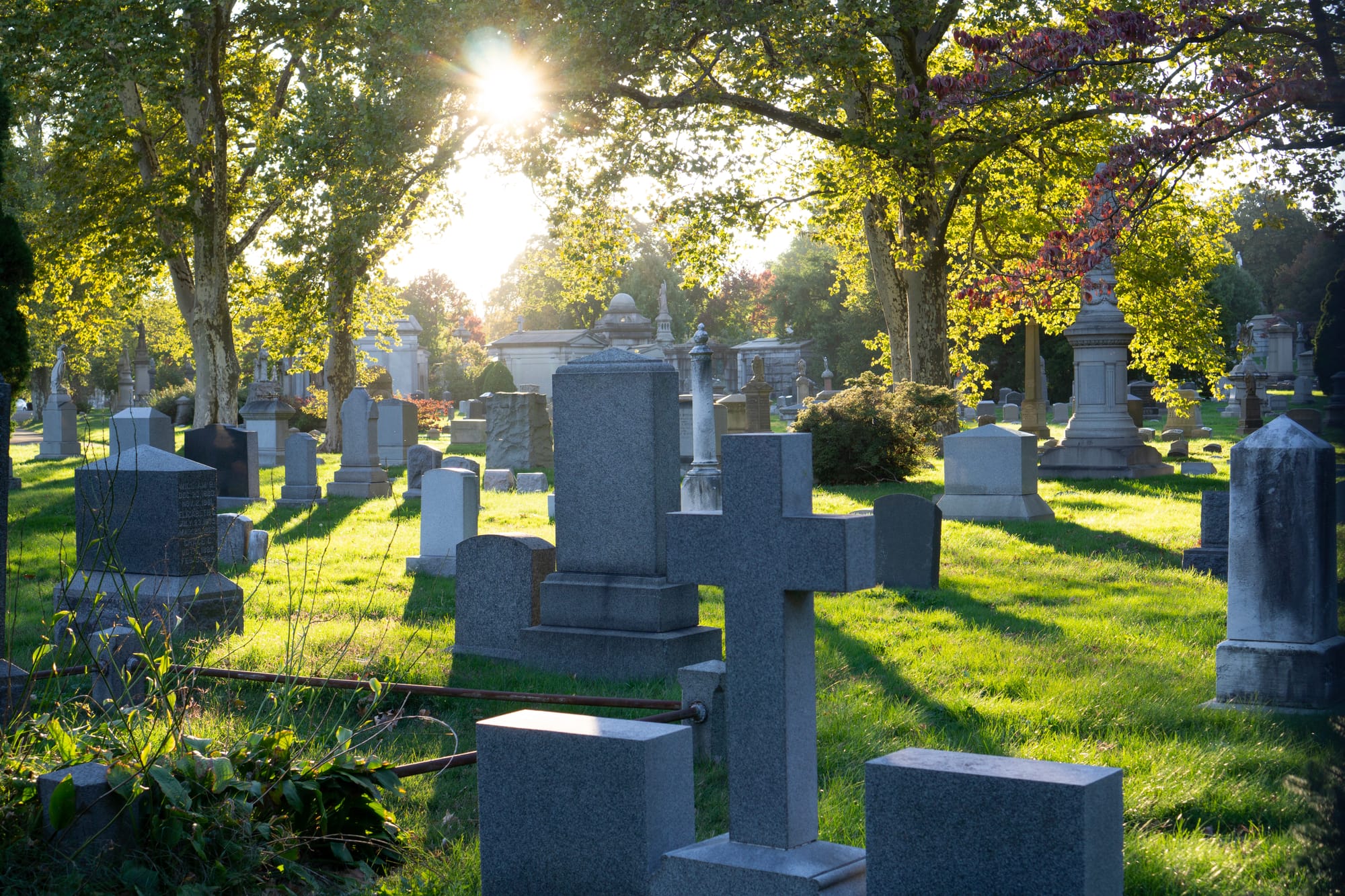 Le cimetière, à force d'y travailler, on finit par l’aimer.