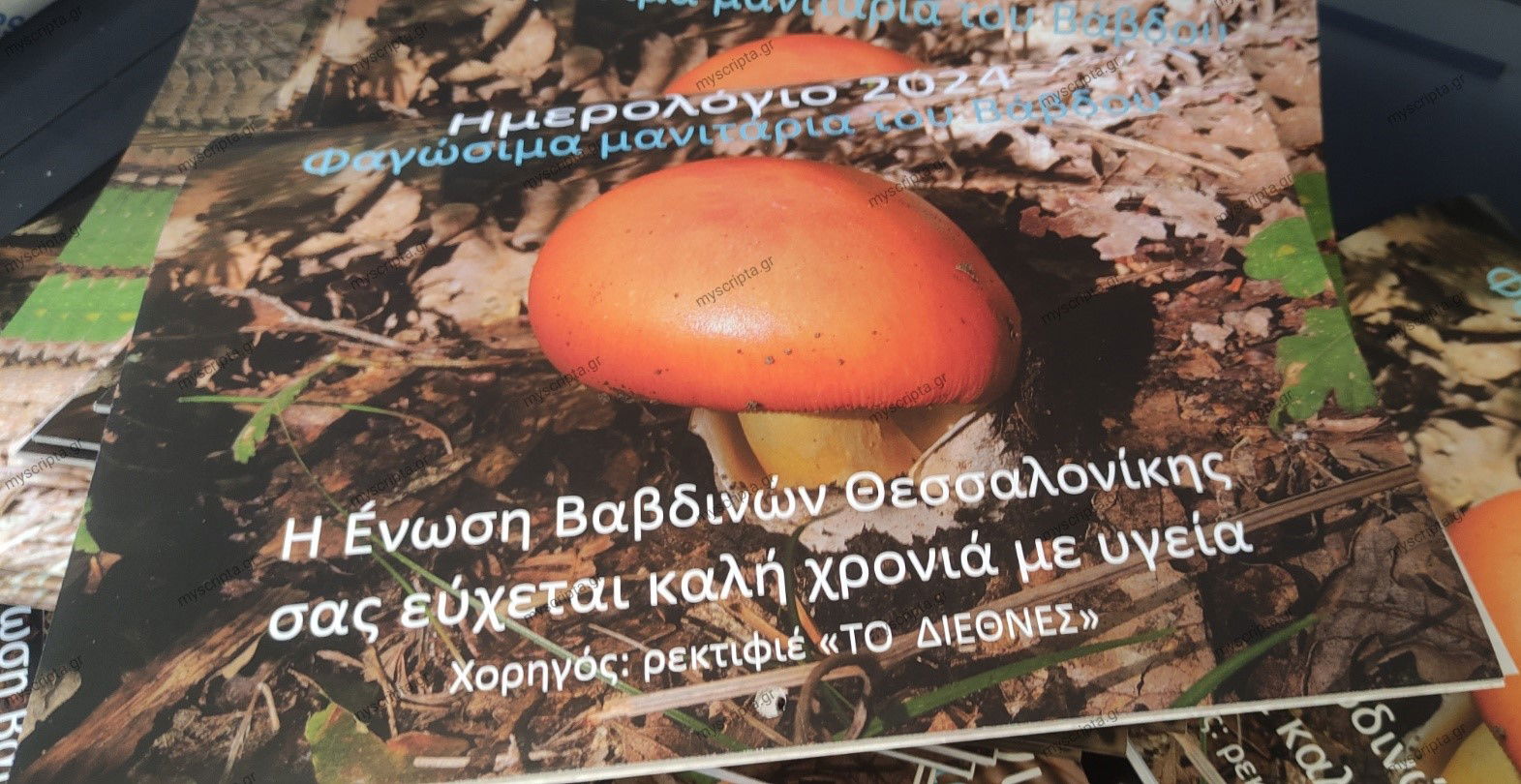 ΗΜΕΡΟΛΟΓΙΟ ΣΥΛΛΟΓΟΥ