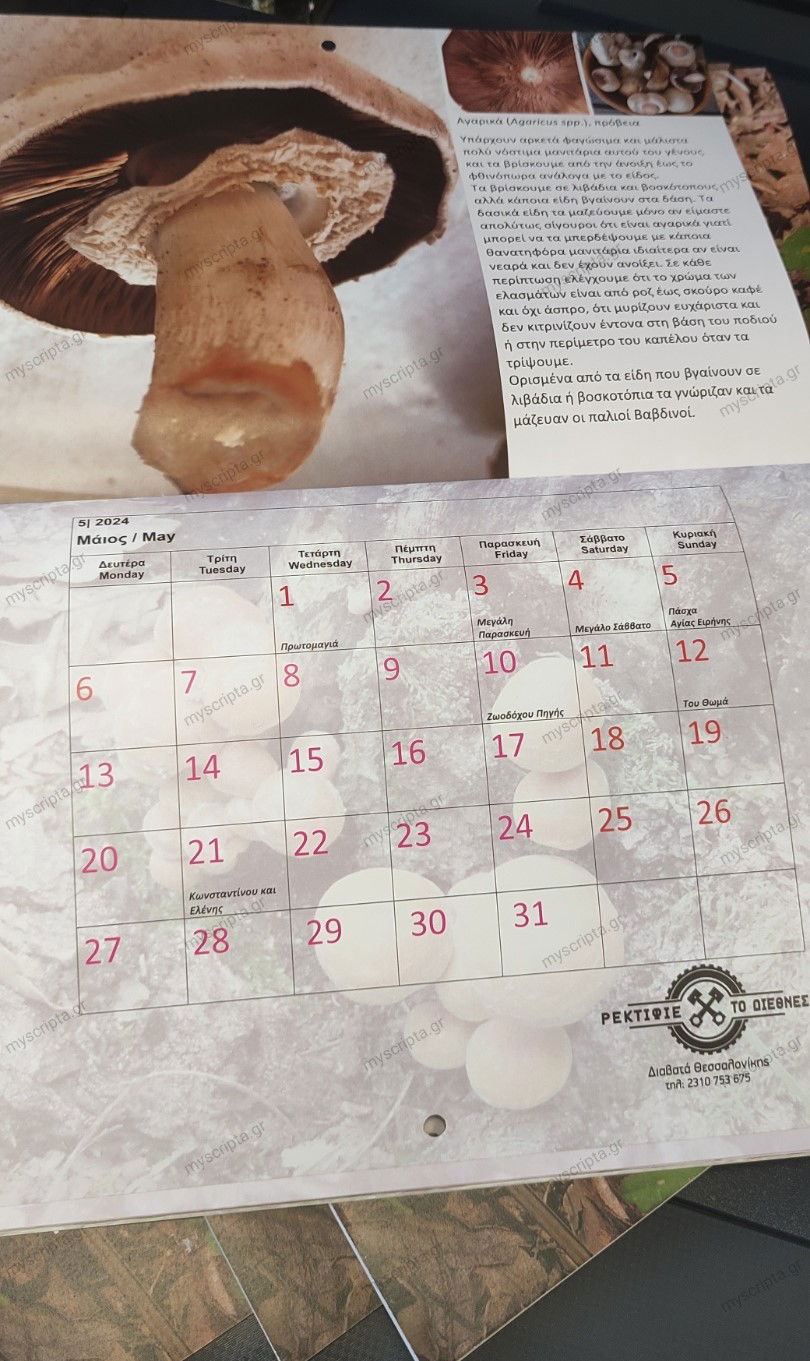 ΗΜΕΡΟΛΟΓΙΟ ΣΥΛΛΟΓΟΥ