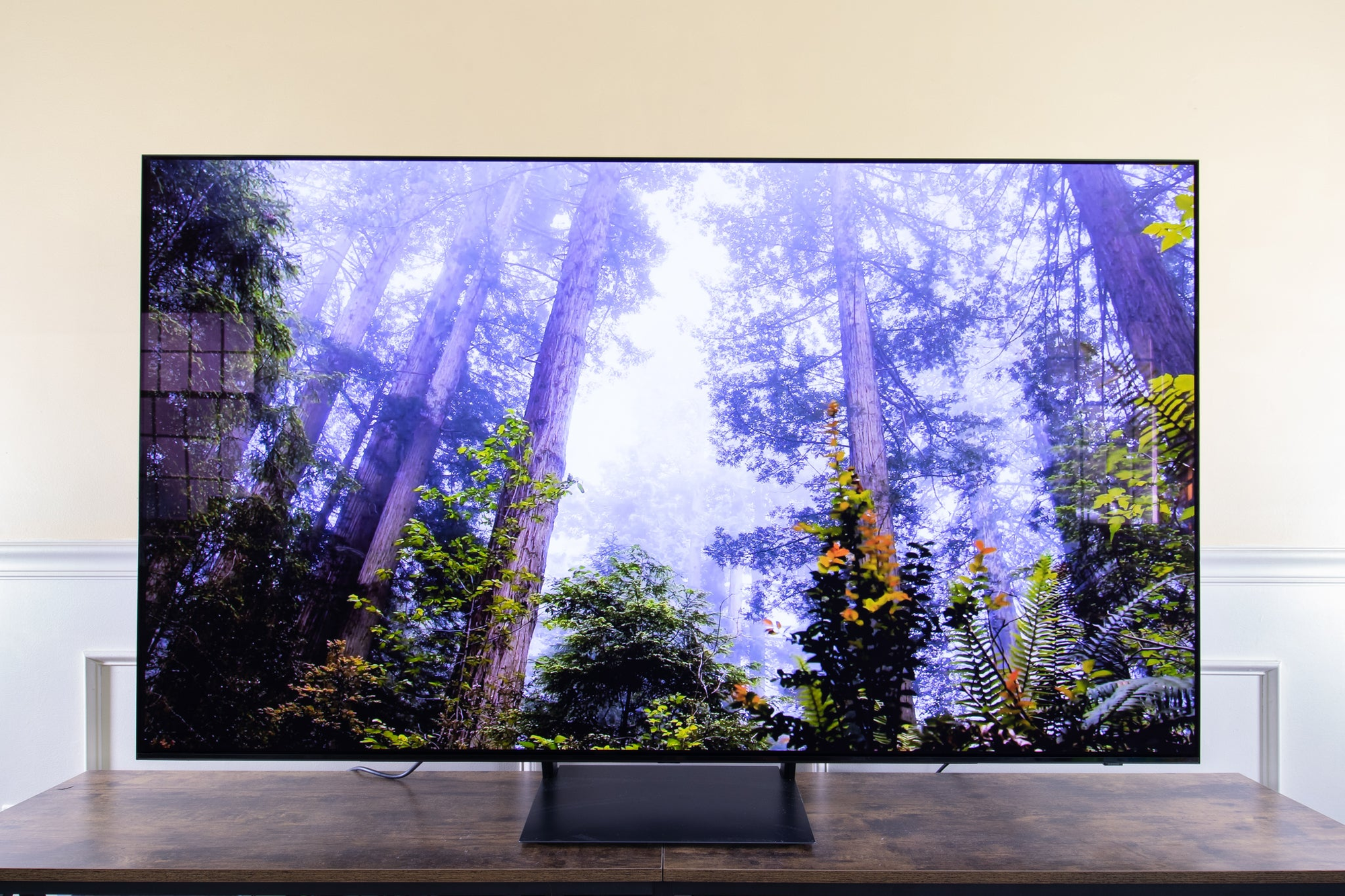 best lg oled tvs