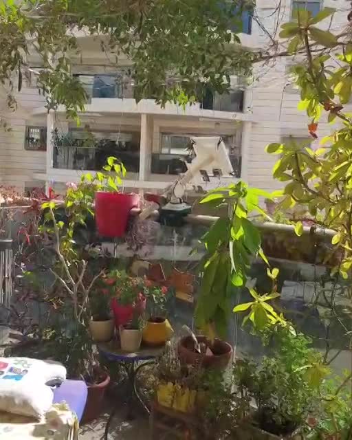 The Sun Chaser: An Auto-Rotating Solar Panel