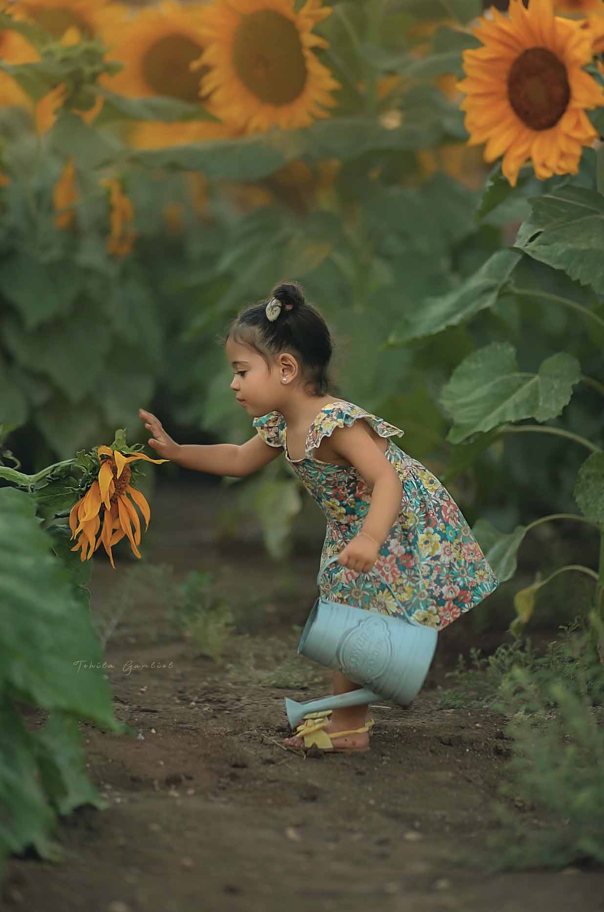 🌻 הפריחה הצהובה - בניית סטים 🌻