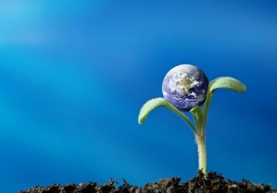 Steward well what’s coming