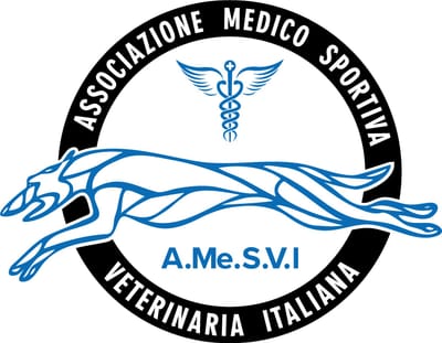 Donazioni a supporto di A.Me.S.V.I.